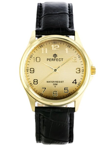 MEN'S WATCH PERFECT C425 - CLASSIC (zp284d)