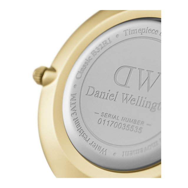 DANIEL WELLINGTON WOMEN'S WATCH DW00100347 - PETITE EVERGOLD 32mm (zw500e) 