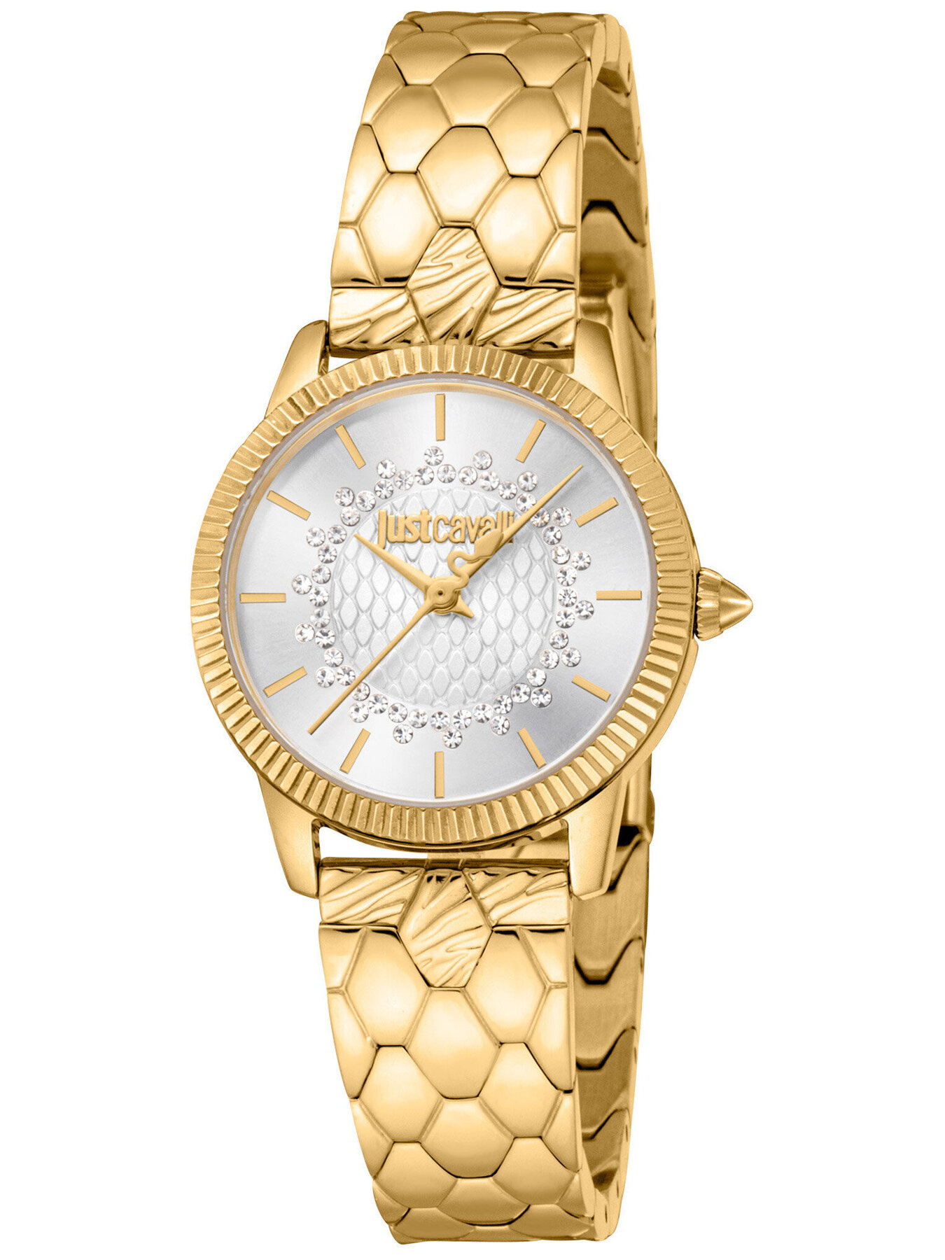 Just Cavalli Glam Chic Daydreamer watch JC1L258M0235