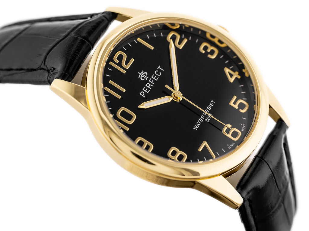 MALE PERFECT CLASSIC WATCH (zp269g)