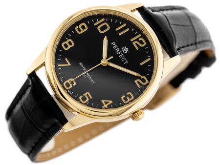 MALE PERFECT CLASSIC WATCH (zp269g)