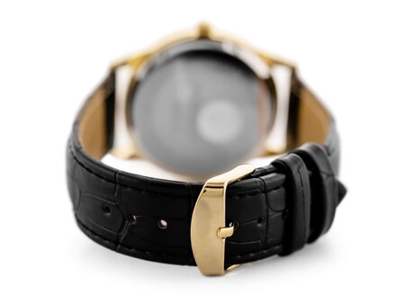 MALE PERFECT CLASSIC WATCH (zp269g)