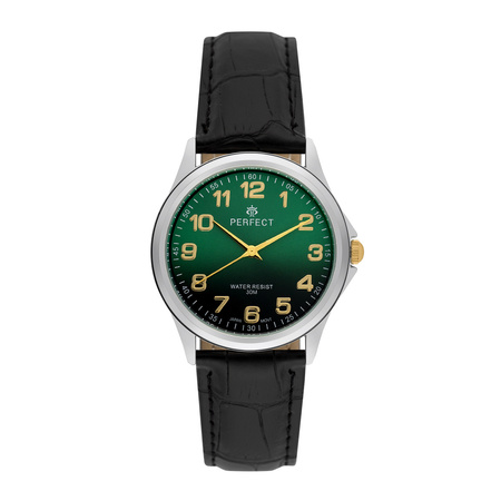 ZEGAREK MĘSKI PERFECT C425E-16 (zp392d)