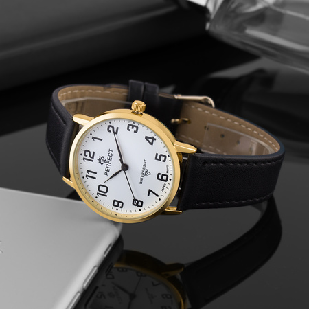 PERFECT GX093-11 (zp394a)