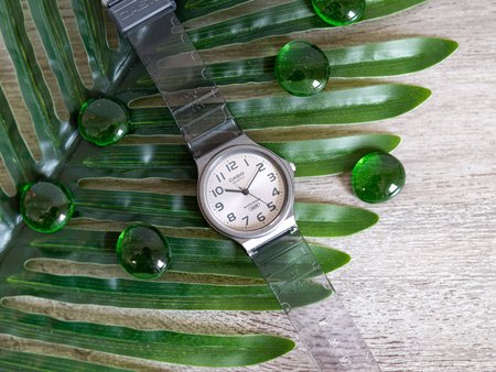 Casio MQ-24S-8BEF Women's Watch + BOX