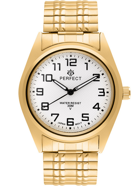 PERFECT X018-12 (zp396c)