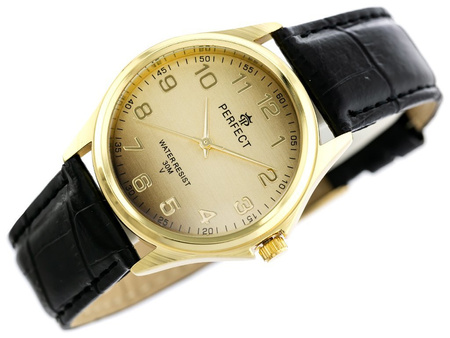 MEN'S WATCH PERFECT C425 - CLASSIC (zp284d)
