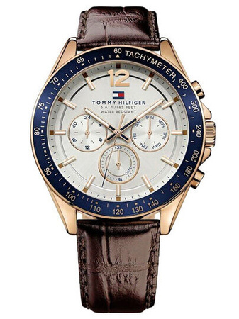 ZEGAREK MĘSKI TOMMY HILFIGER 1791118 (zf066a)