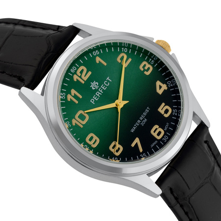 ZEGAREK MĘSKI PERFECT C425E-16 (zp392d)