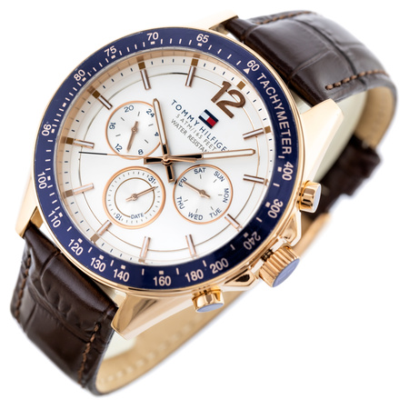 ZEGAREK MĘSKI TOMMY HILFIGER 1791118 (zf066a)