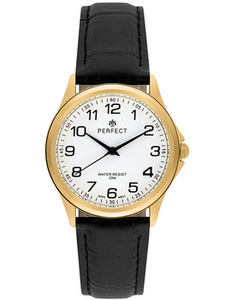 ZEGAREK MĘSKI C425E-25 (zp392c)