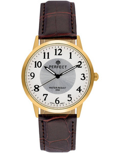 ZEGAREK MĘSKI PERFECT C411Y-17 (zp391d)