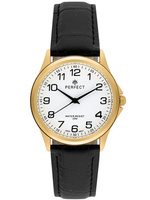 ZEGAREK MĘSKI C425E-25 (zp392c)