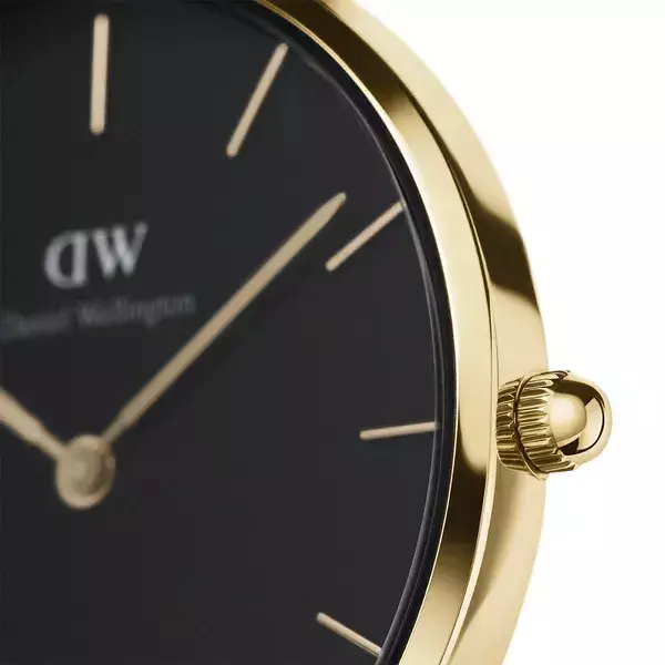 ZEGAREK DAMSKI DANIEL WELLINGTON DW00100349 - PETITE EVERGOLD 28mm (zw501c) 